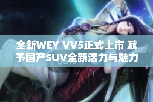 全新WEY VV5正式上市 赋予国产SUV全新活力与魅力