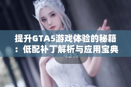 提升GTA5游戏体验的秘籍：低配补丁解析与应用宝典