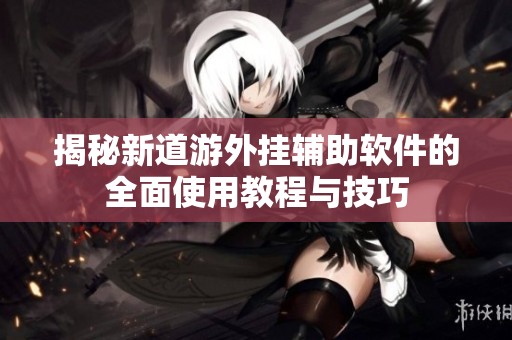揭秘新道游外挂辅助软件的全面使用教程与技巧