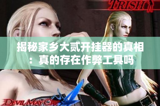 揭秘家乡大贰开挂器的真相：真的存在作弊工具吗