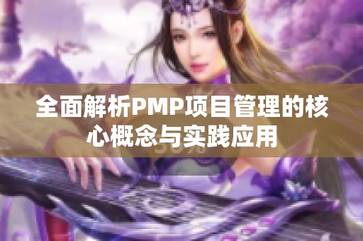 全面解析PMP项目管理的核心概念与实践应用