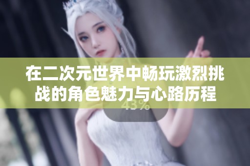 在二次元世界中畅玩激烈挑战的角色魅力与心路历程