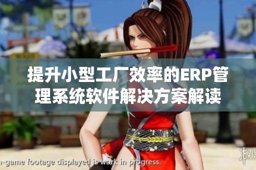 提升小型工厂效率的ERP管理系统软件解决方案解读