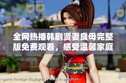 全网热播韩剧贤妻良母完整版免费观看，感受温馨家庭的魅力