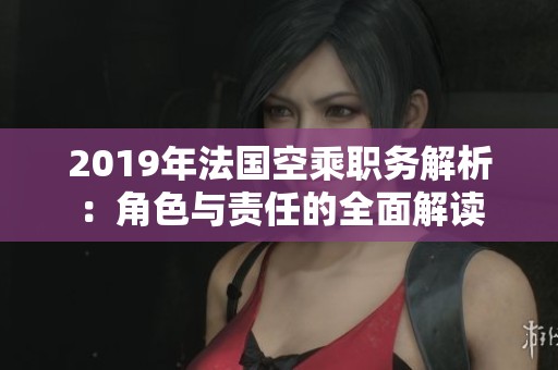 2019年法国空乘职务解析：角色与责任的全面解读
