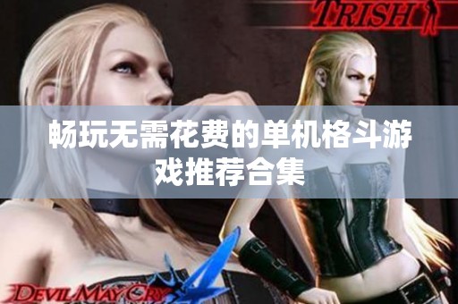 畅玩无需花费的单机格斗游戏推荐合集