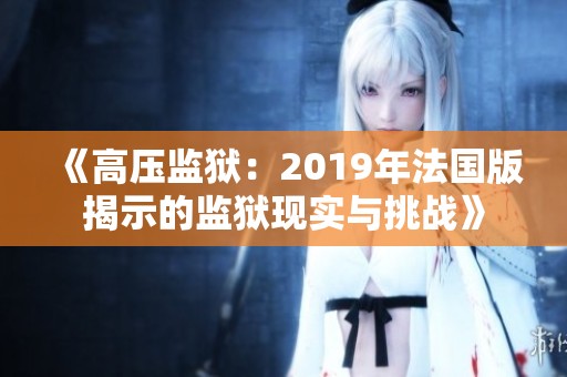 《高压监狱：2019年法国版揭示的监狱现实与挑战》