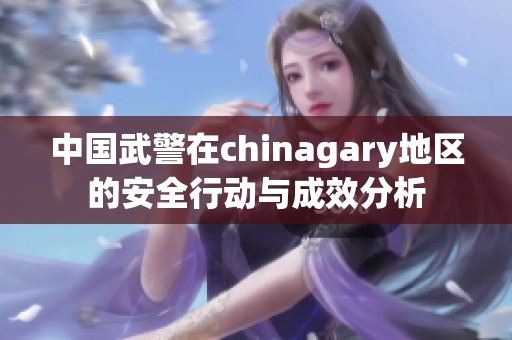 中国武警在chinagary地区的安全行动与成效分析