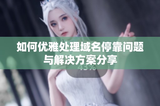 如何优雅处理域名停靠问题与解决方案分享