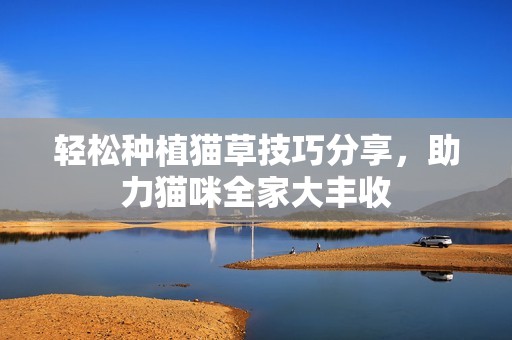 轻松种植猫草技巧分享，助力猫咪全家大丰收