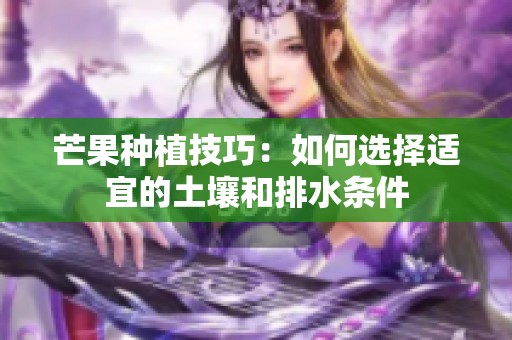 芒果种植技巧：如何选择适宜的土壤和排水条件