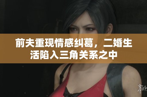 前夫重现情感纠葛，二婚生活陷入三角关系之中