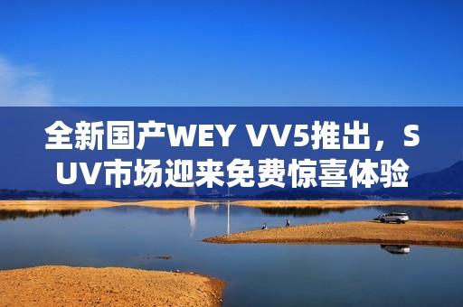 全新国产WEY VV5推出，SUV市场迎来免费惊喜体验
