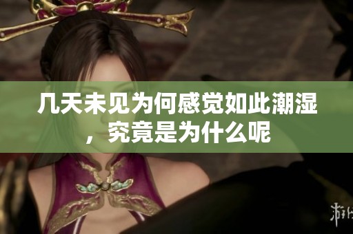 几天未见为何感觉如此潮湿，究竟是为什么呢