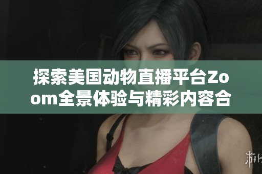 探索美国动物直播平台Zoom全景体验与精彩内容合集
