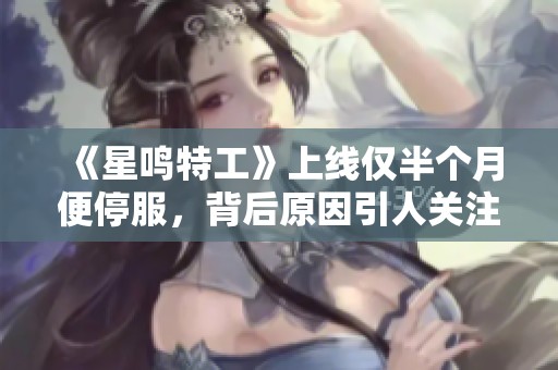 《星鸣特工》上线仅半个月便停服，背后原因引人关注