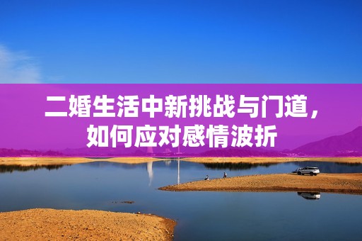 二婚生活中新挑战与门道，如何应对感情波折