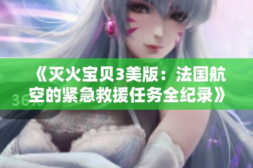 《灭火宝贝3美版：法国航空的紧急救援任务全纪录》