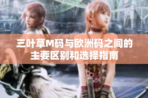 三叶草M码与欧洲码之间的主要区别和选择指南