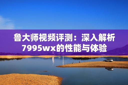 鲁大师视频评测：深入解析7995wx的性能与体验