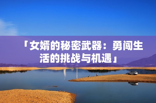 「女婿的秘密武器：勇闯生活的挑战与机遇」