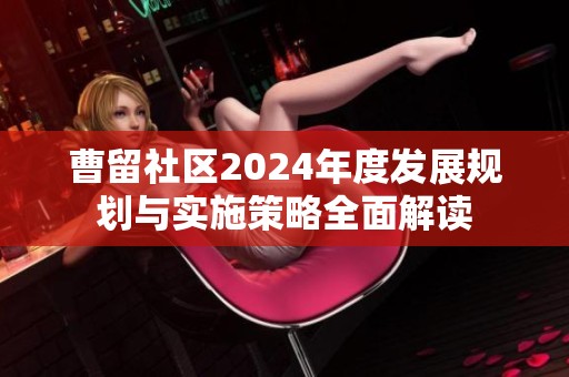 曹留社区2024年度发展规划与实施策略全面解读