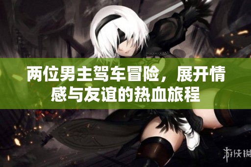 两位男主驾车冒险，展开情感与友谊的热血旅程