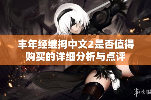 丰年经继拇中文2是否值得购买的详细分析与点评