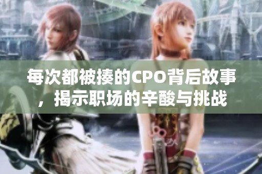 每次都被揍的CPO背后故事，揭示职场的辛酸与挑战