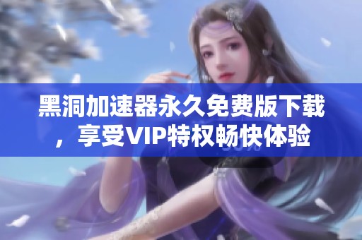 黑洞加速器永久免费版下载，享受VIP特权畅快体验