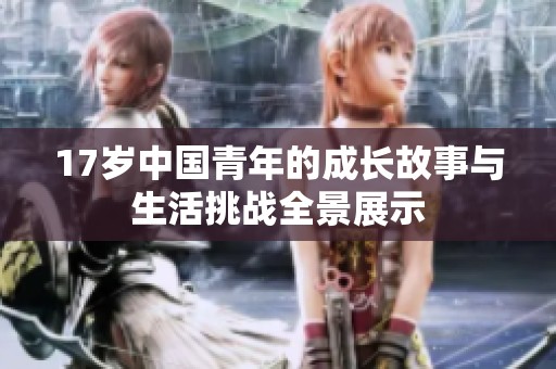 17岁中国青年的成长故事与生活挑战全景展示