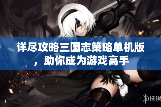 详尽攻略三国志策略单机版，助你成为游戏高手