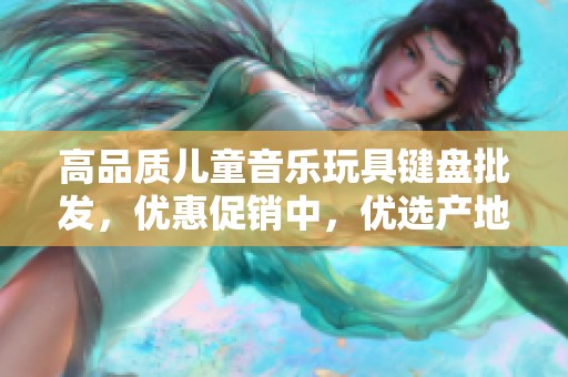 高品质儿童音乐玩具键盘批发，优惠促销中，优选产地货源