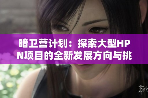 暗卫营计划：探索大型HPN项目的全新发展方向与挑战