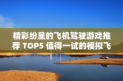 精彩纷呈的飞机驾驶游戏推荐 TOP5 值得一试的模拟飞行大作