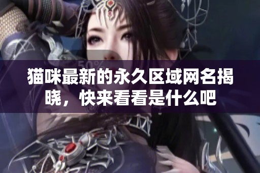 猫咪最新的永久区域网名揭晓，快来看看是什么吧
