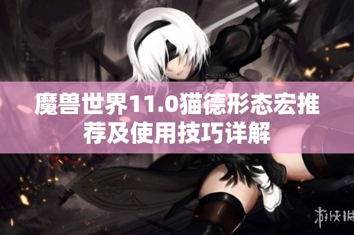 魔兽世界11.0猫德形态宏推荐及使用技巧详解