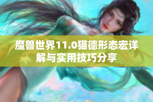 魔兽世界11.0猫德形态宏详解与实用技巧分享