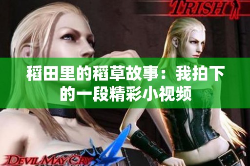 稻田里的稻草故事：我拍下的一段精彩小视频