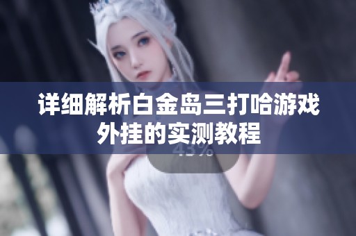 详细解析白金岛三打哈游戏外挂的实测教程