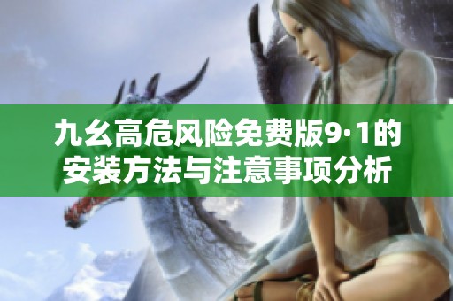 九幺高危风险免费版9·1的安装方法与注意事项分析