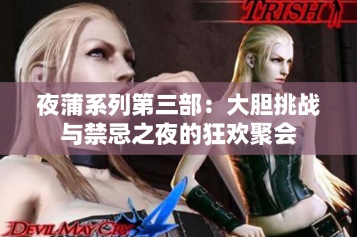 夜蒲系列第三部：大胆挑战与禁忌之夜的狂欢聚会