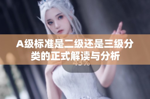 A级标准是二级还是三级分类的正式解读与分析
