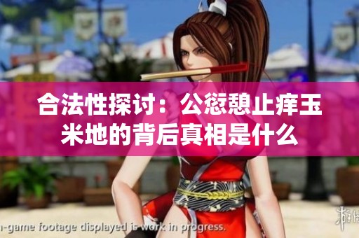 合法性探讨：公愆憩止痒玉米地的背后真相是什么