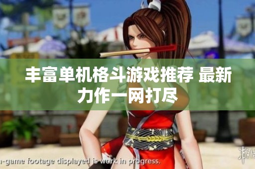 丰富单机格斗游戏推荐 最新力作一网打尽