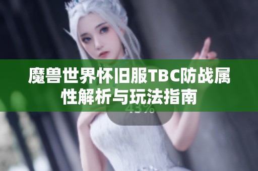魔兽世界怀旧服TBC防战属性解析与玩法指南