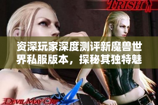 资深玩家深度测评新魔兽世界私服版本，探秘其独特魅力与亮点