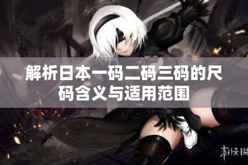 解析日本一码二码三码的尺码含义与适用范围
