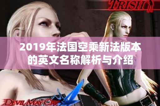 2019年法国空乘新法版本的英文名称解析与介绍