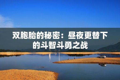 双胞胎的秘密：昼夜更替下的斗智斗勇之战